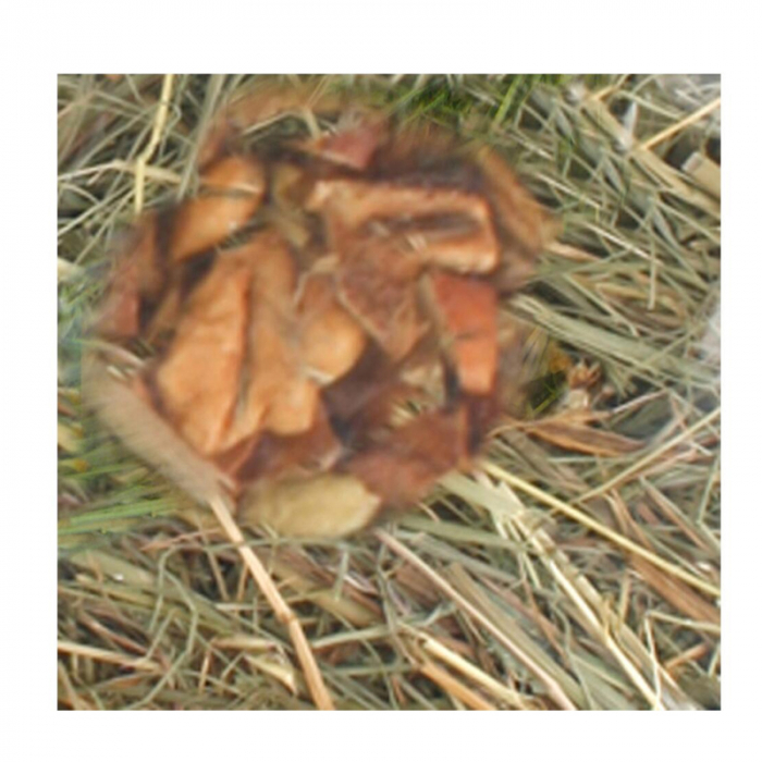 FAN DE MUNTE CU MAR 500 GR [2]