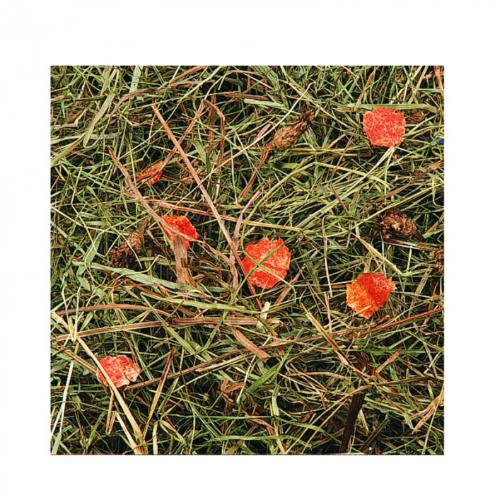 FÂN DE MUNTE CU MORCOVI FLAMINGO, 500 gr [2]