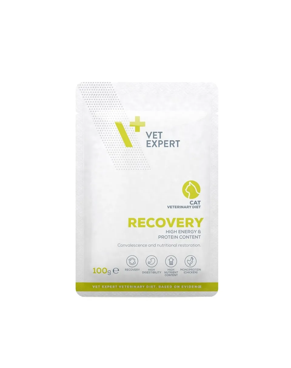 Hrana dietetica pentru pisici Recovery VetExpert 100 gr