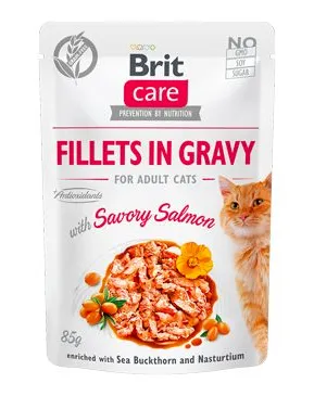 Hrana umeda pentru pisici Brit Fillets in Gravy cu somon 85 gr
