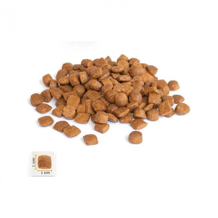 Hrana uscata pentru pisici Bona Cibo Adult cu pui & orez 2 kg [2]