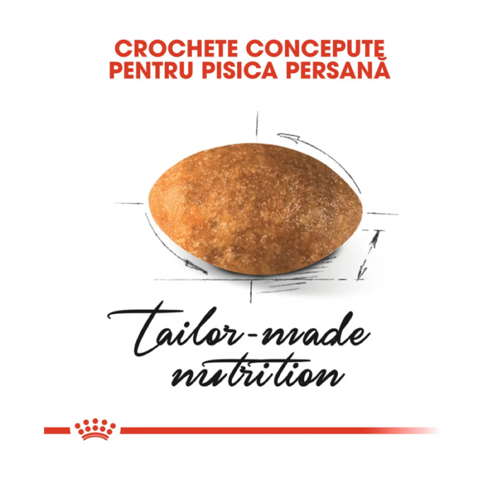 Hrana uscata pentru pisici Royal Canin Persian 400 gr [2]