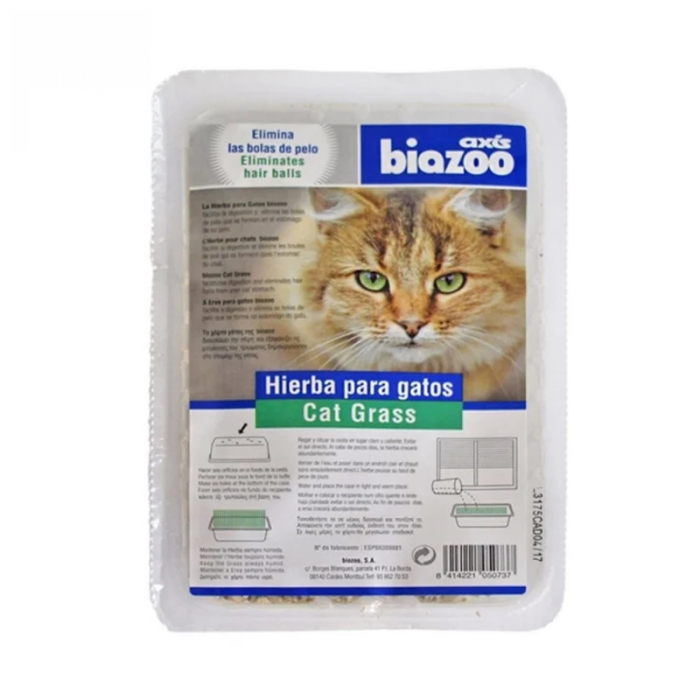 Iarba pisicii Biozoo 100 gr