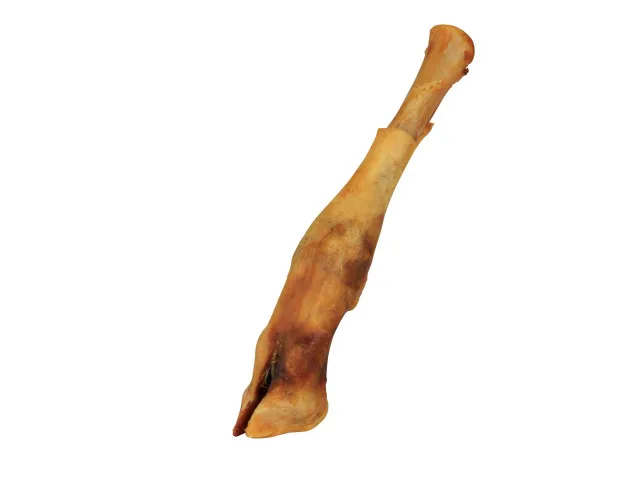 Picior de miel uscat pentru caini 16-18 cm Trixie