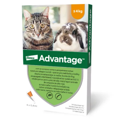 Pipeta antiparazitara Advantage pentru pisici  iepuri ,   4 kg ( 1 pipeta )