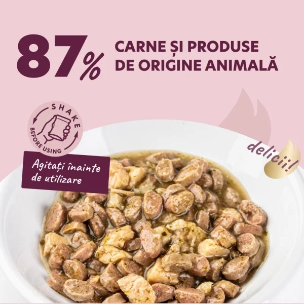 Supa cremoasa pentru pisici Delickcious Fâșii de rata, pui & spanac 85 gr [2]