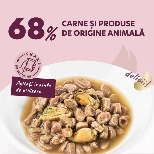Supa cremoasa pentru pisici Delickcious Fâșii de somon & midii in sos 85 gr [2]