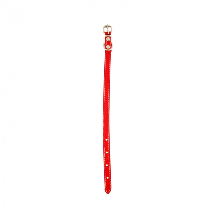 Zgarda din piele pentru caini Nr.1 Petro 1,5 x 35 cm [2]