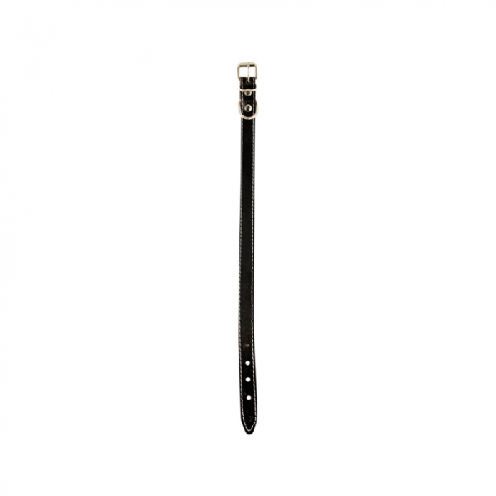 Zgarda din piele pentru caini de talie mica-medie Nr. 2 Petro 1,9 x 45 cm [2]