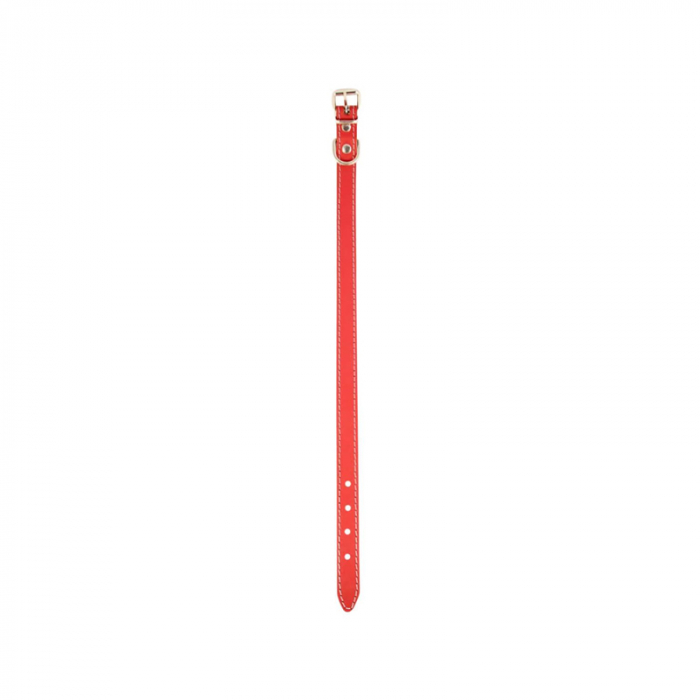 Zgarda din piele pentru caini de talie mica-medie Nr. 2 Petro 1,9 x 45 cm [2]