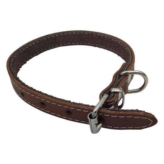 Zgarda din piele pentru caini Nr. 1 Petro Maro 1,5 x 35 cm