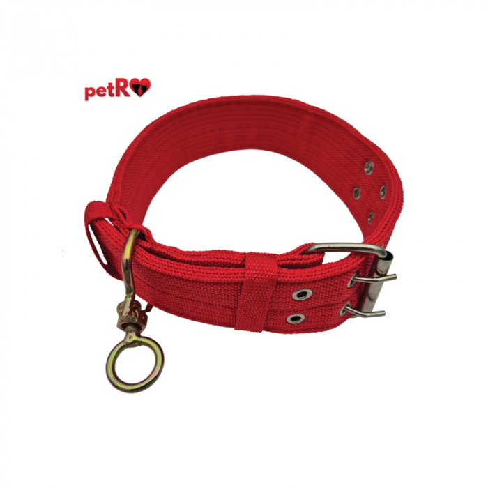 Zgarda textila dubla pentru caini Petro 5 x 74 cm [4]