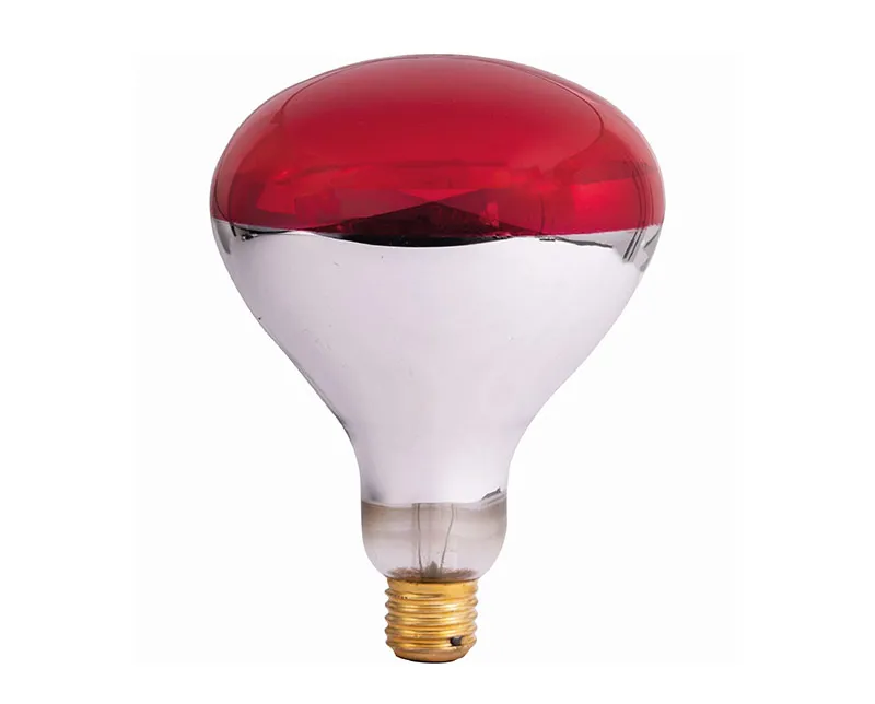 Animale de curte - Bec inflarosu 150 W DDV