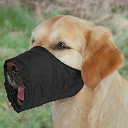 Botnite caini - Botnita pentru caini S-M Mittelpudel 20 cm (15-36 cm)