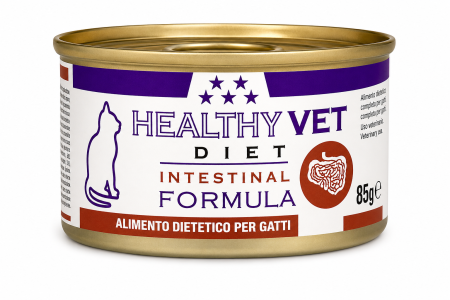 Pisici - Conserva dietetica pentru pisici Healthy Vet Diet Intestinal Formula 85 gr