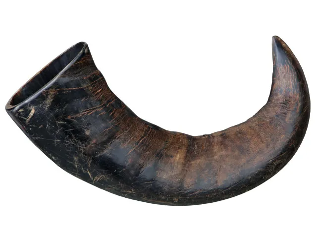 Caini - Corn natural de bivol pentru caini Trixie