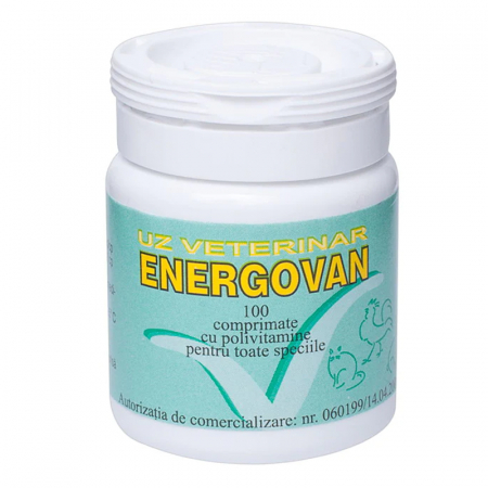 Porumbei - Energovan 100 cpr