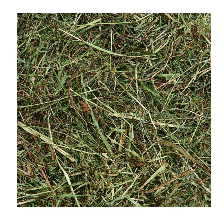 FÂN DE MUNTE CU MENTĂ FLAMINGO, 500 gr [1]