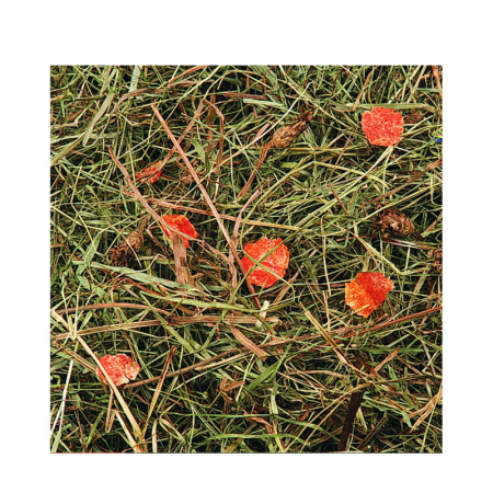 FÂN DE MUNTE CU MORCOVI FLAMINGO, 500 gr [1]