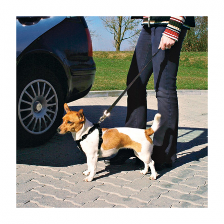 Ham + centura auto S 30-60 cm [1]