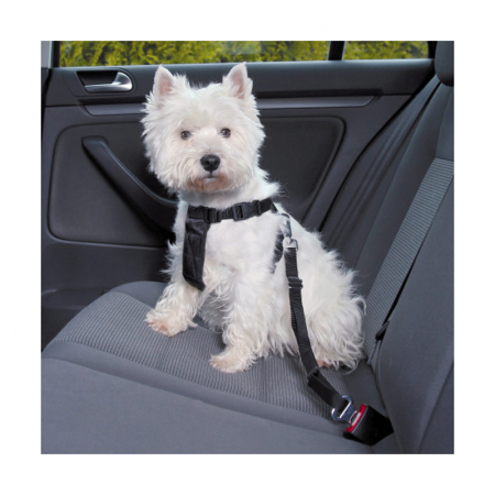 Ham + centura auto S 30-60 cm [0]