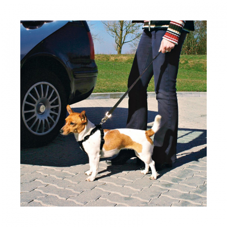 Ham + centura auto XS 20-50 cm [1]