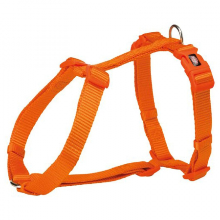 Caini - Ham pentru caini Premium XS-S 30-40 cm/10 mm portocaliu