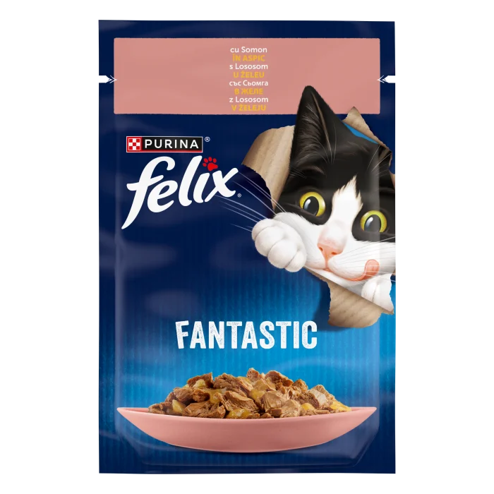 Pisica Adult - Hrana umeda pentru pisici Felix Fantastic cu somon 85 gr