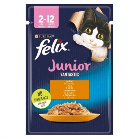 Pisica Junior - Set 26 buc x 85 gr Hrana umeda pentru pisici Felix Fantastic Junior cu pui