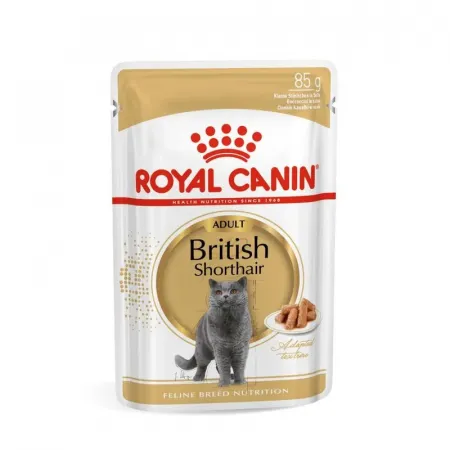 Hrana umeda pisici - Hrana umeda pentru pisici Royal Canin British Shorthair Adult 85 gr