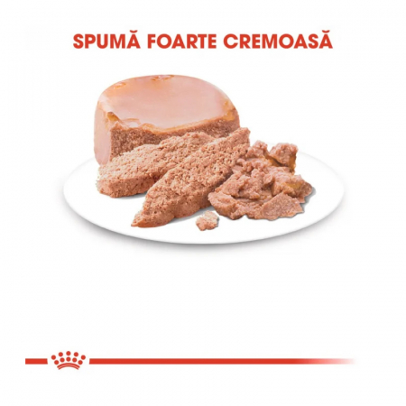 Conserva pentru pisici Royal Canin Mother & BabyCat 195 gr [1]
