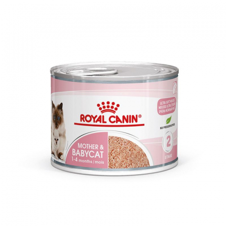 Pisica Junior - Conserva pentru pisici Royal Canin Mother & BabyCat 195 gr