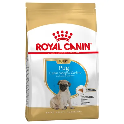 Caini - Hrana uscata pentru caini Royal Canin Pug Puppy 1,5 kg