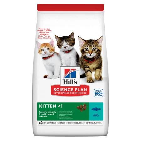 Pisica Junior - Hrana uscata pentru pisici Hill's SP Kitten cu somon 1,5 kg