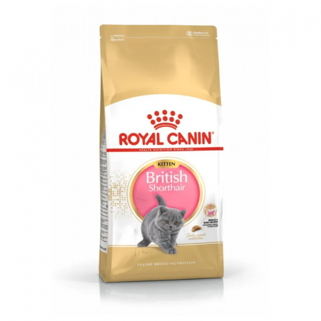 Pisica Junior - Hrana uscata pentru pisici Royal Canin British Shorthair Kitten 400 gr