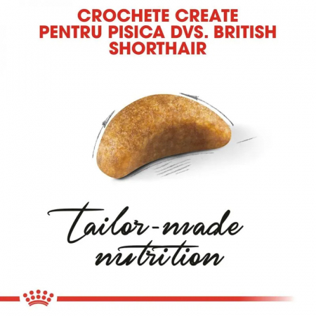 Hrana uscata pentru pisici Royal Canin British Shorthair Kitten 2 kg [1]