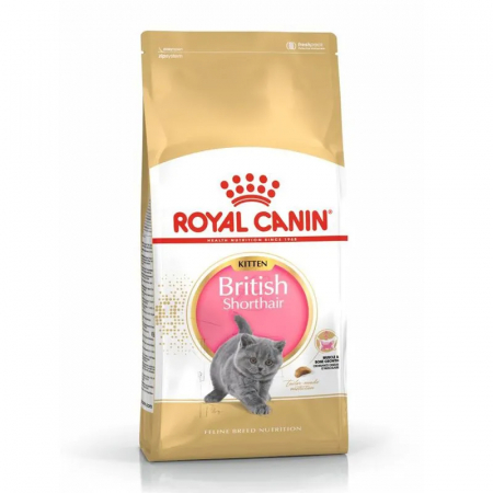 Pisica Junior - Hrana uscata pentru pisici Royal Canin British Shorthair Kitten 2 kg