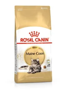Pisici - Hrana uscata pentru pisici Royal Canin Maine Coon Adult 4 kg