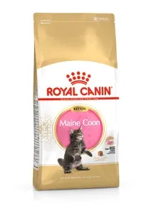 Pisici - Hrana uscata pentru pisici Royal Canin Maine Coon Kitten 10 kg