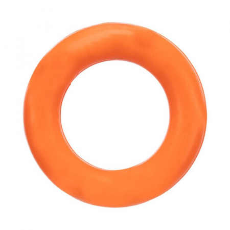 Jucarii caini - Jucarie pentru caini tip inel 9 cm
