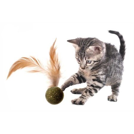 Jucarie pentru pisici Petro Minge Catnip & Pene 3 cm [1]
