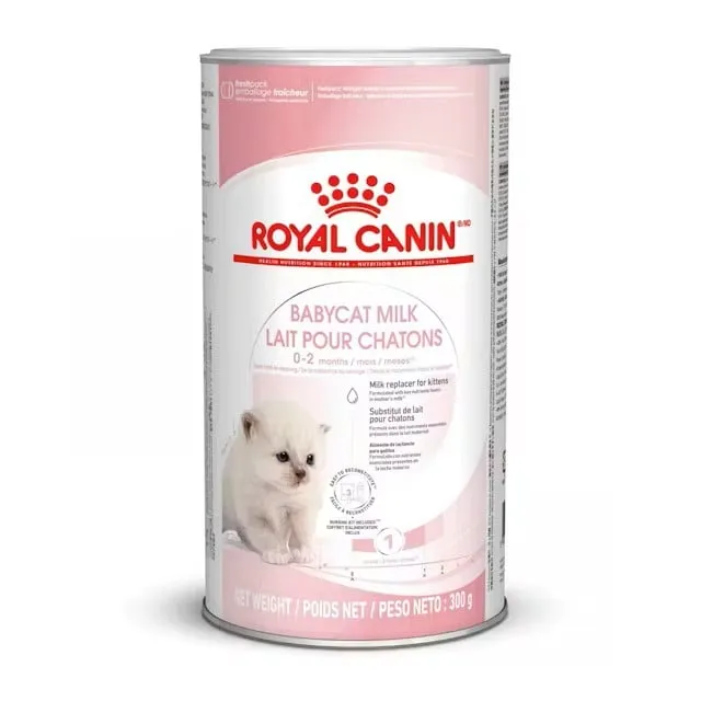 Pisici - Lapte praf pentru pisici Royal Canin BabyCat 300 gr