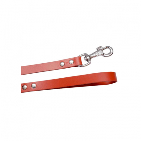 Caini - Lesa din piele pentru caini Trixie L1 rosie 10/1100 mm