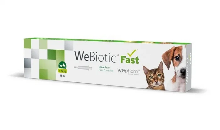 Pisici - Pasta palatabila pentru caini & pisici WeBiotic Fast 15 ml