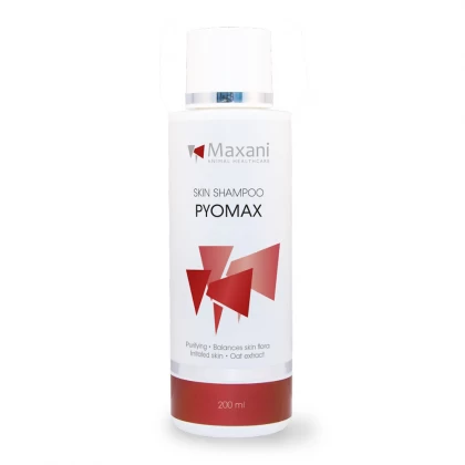 Pisici - Sampon purificator Maxani PyoMax 200 ml