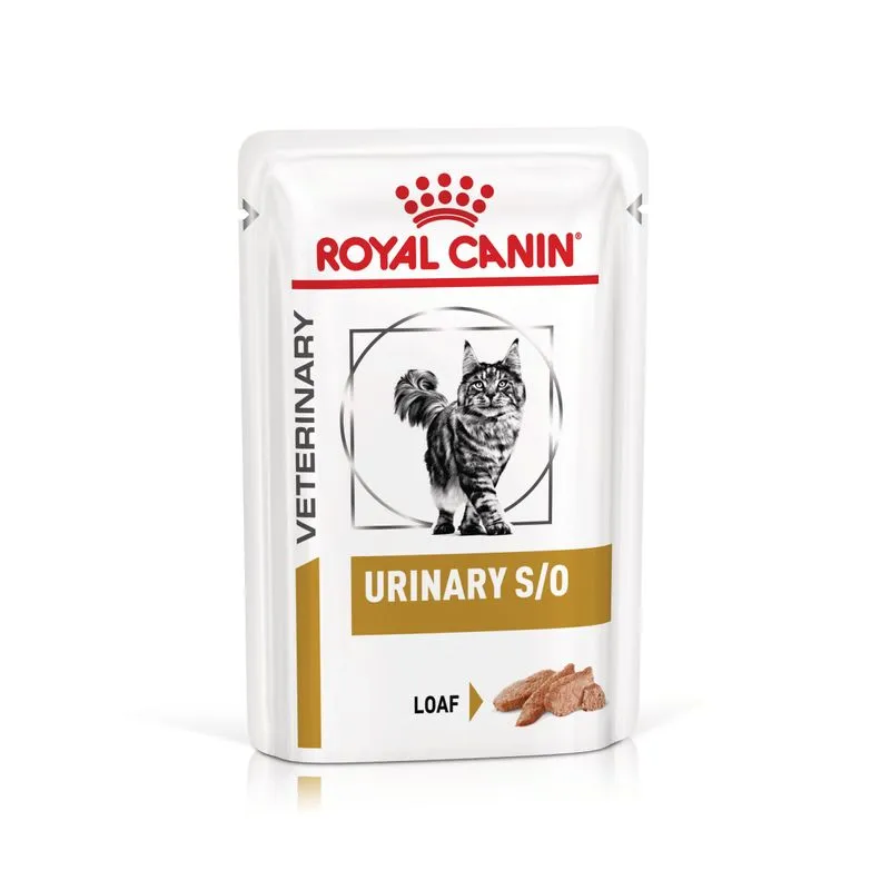 Pisici - Set 12 buc x 85 gr Hrana dietetica pentru pisici Royal Canin Urinary Pate S/O