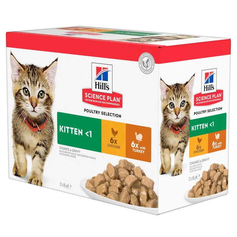 Pisici - Set 12 buc x 85 gr Hrana umeda pentru pisici Hill's SP Kitten cu curcan & pui