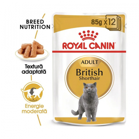 Pisica Adult - Hrana umeda pentru pisici Royal Canin British Shorthair Adult 85 gr