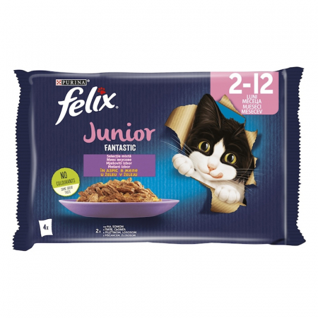 Pisica Junior - Set 4 buc x 85 gr Hrana umeda pentru pisici Felix Fantastic Junior cu pui