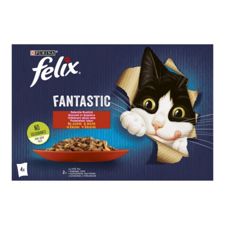 Hrana umeda pisici - Set 4 buc x 85 gr Hrana umeda pentru pisici Felix Fantastic vita & pui